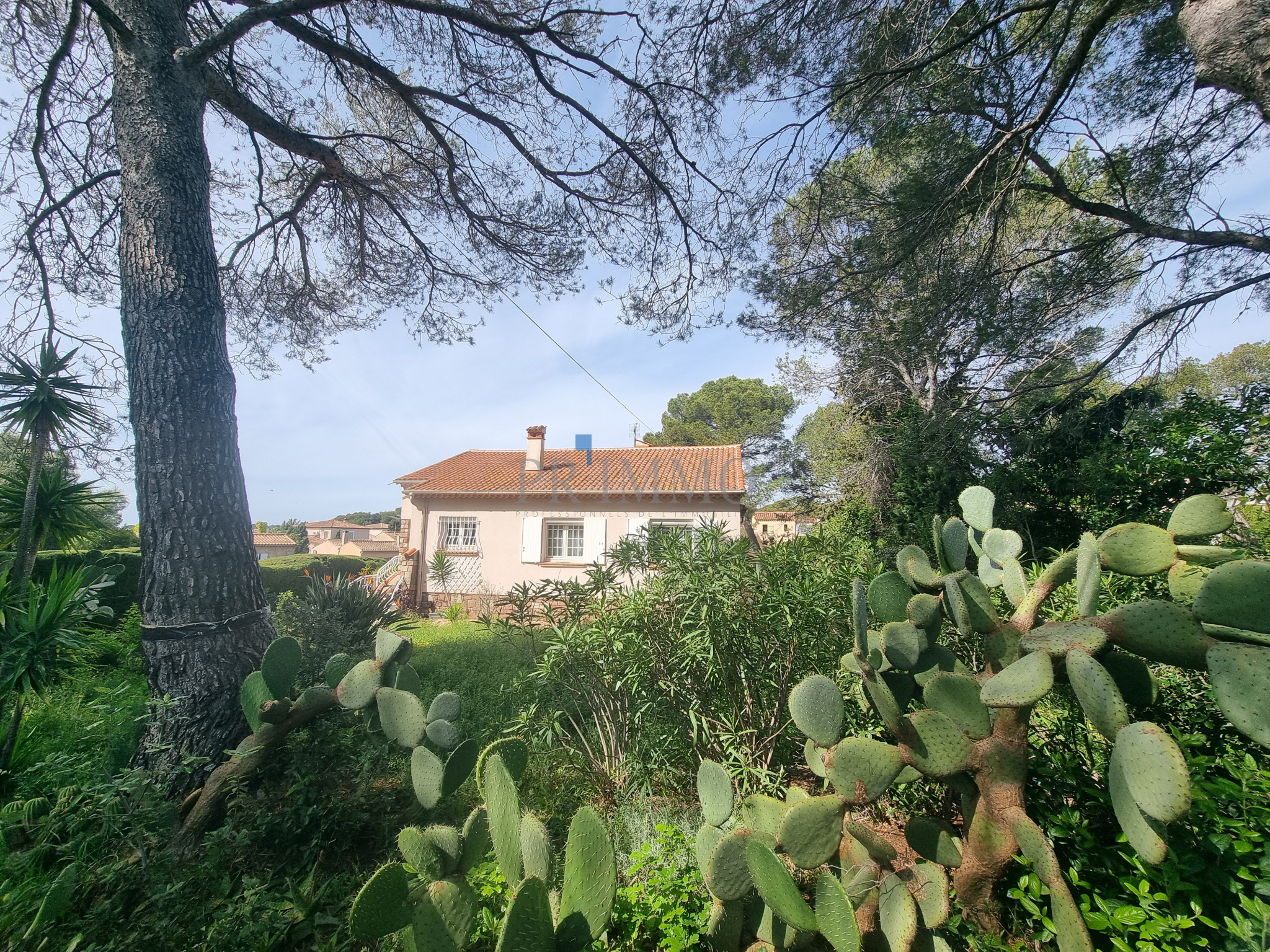 Agence immobilière de TERRACOTA IMMOBILIER