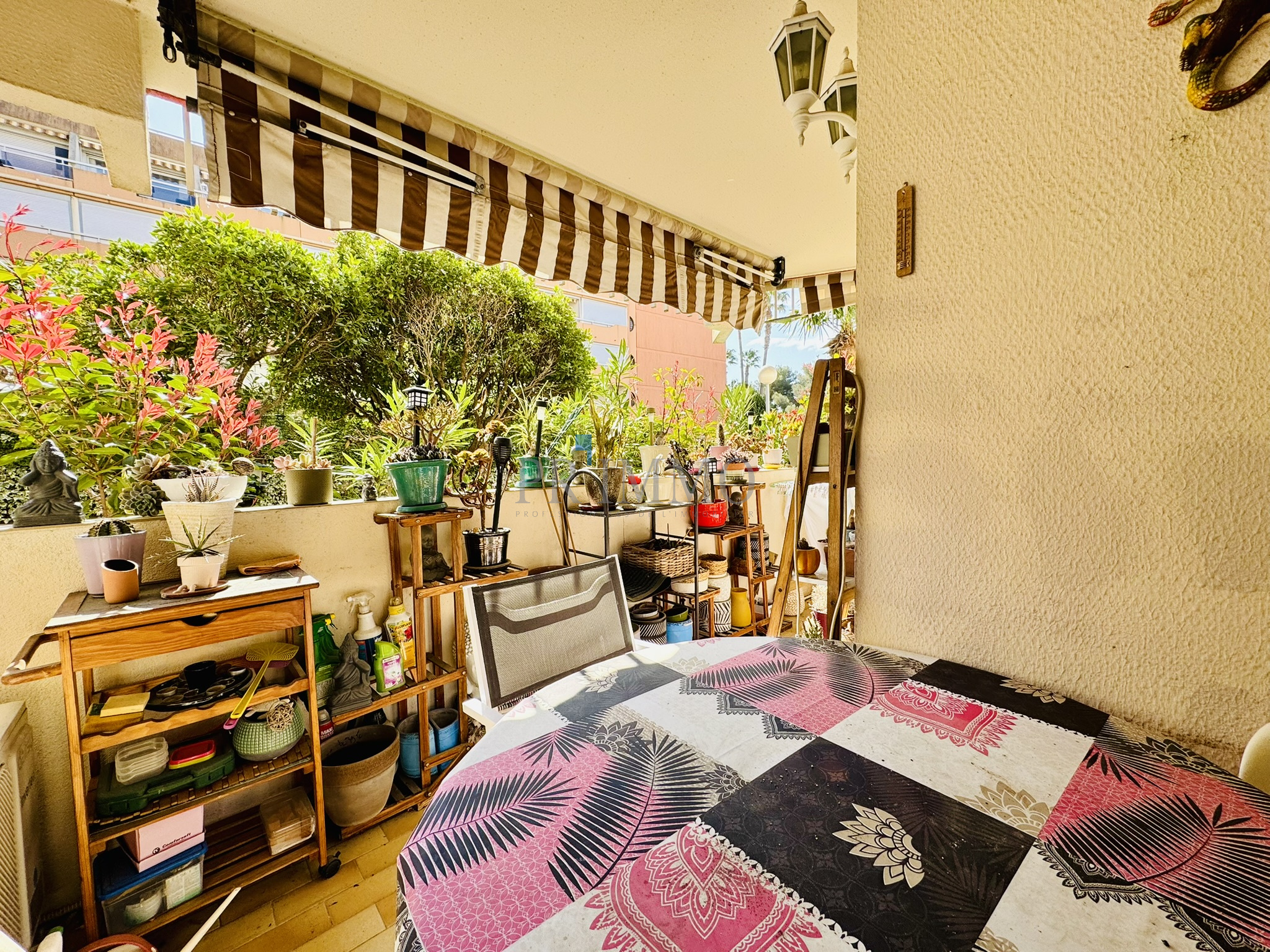 Agence immobilière de TERRACOTA IMMOBILIER