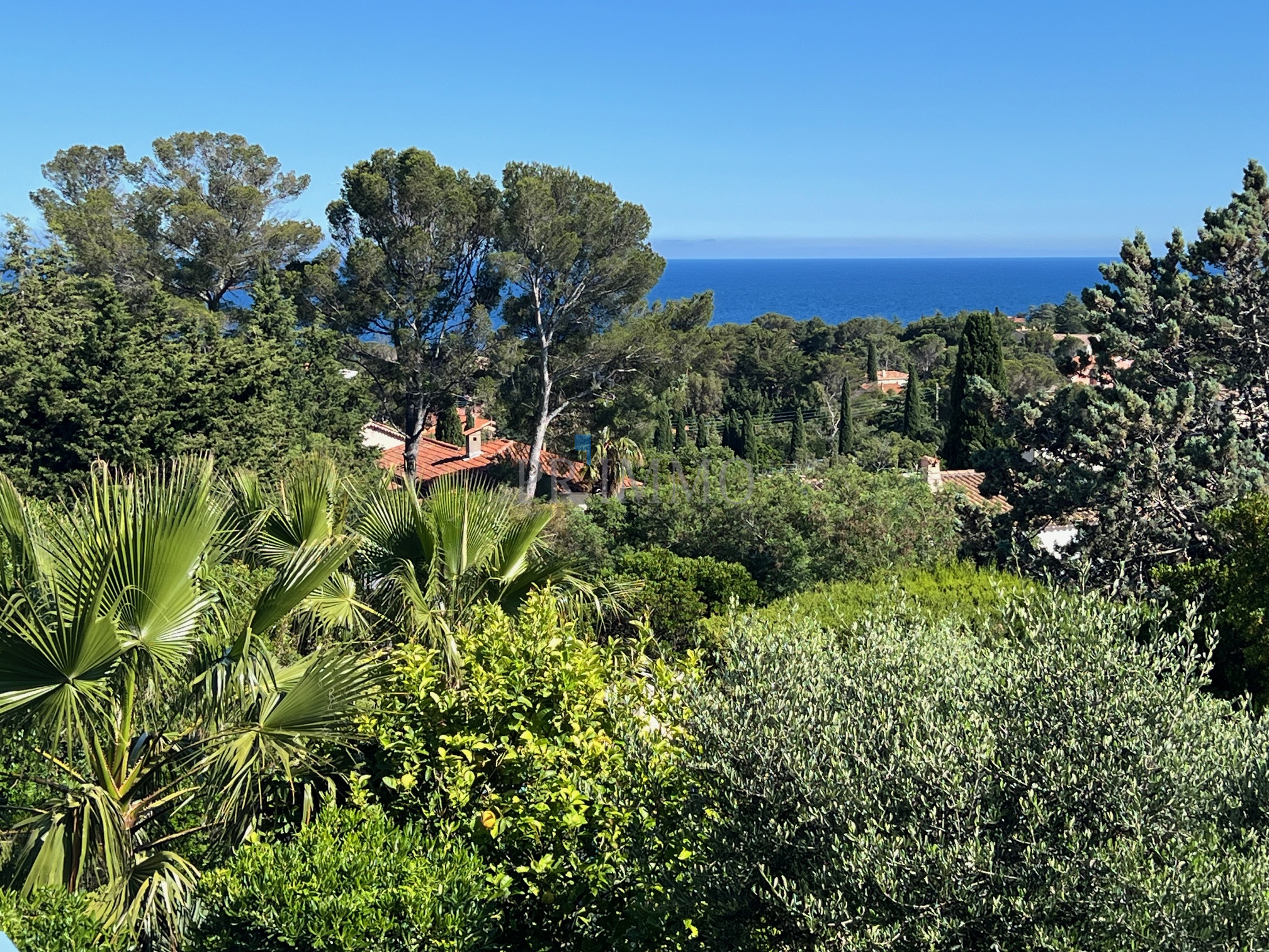 Agence immobilière de Saint Francois Immobilier