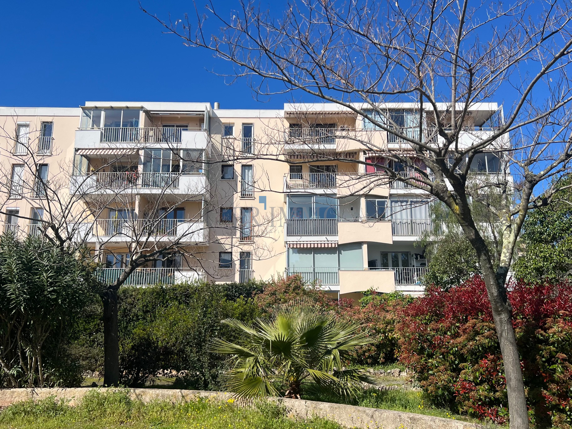 Agence immobilière de Saint Francois Immobilier