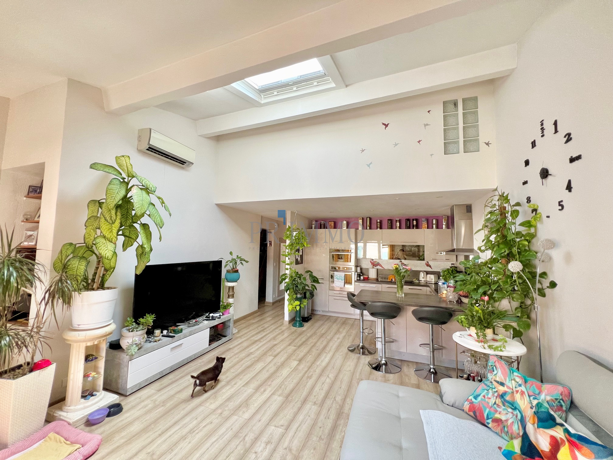 Agence immobilière de Saint Francois Immobilier